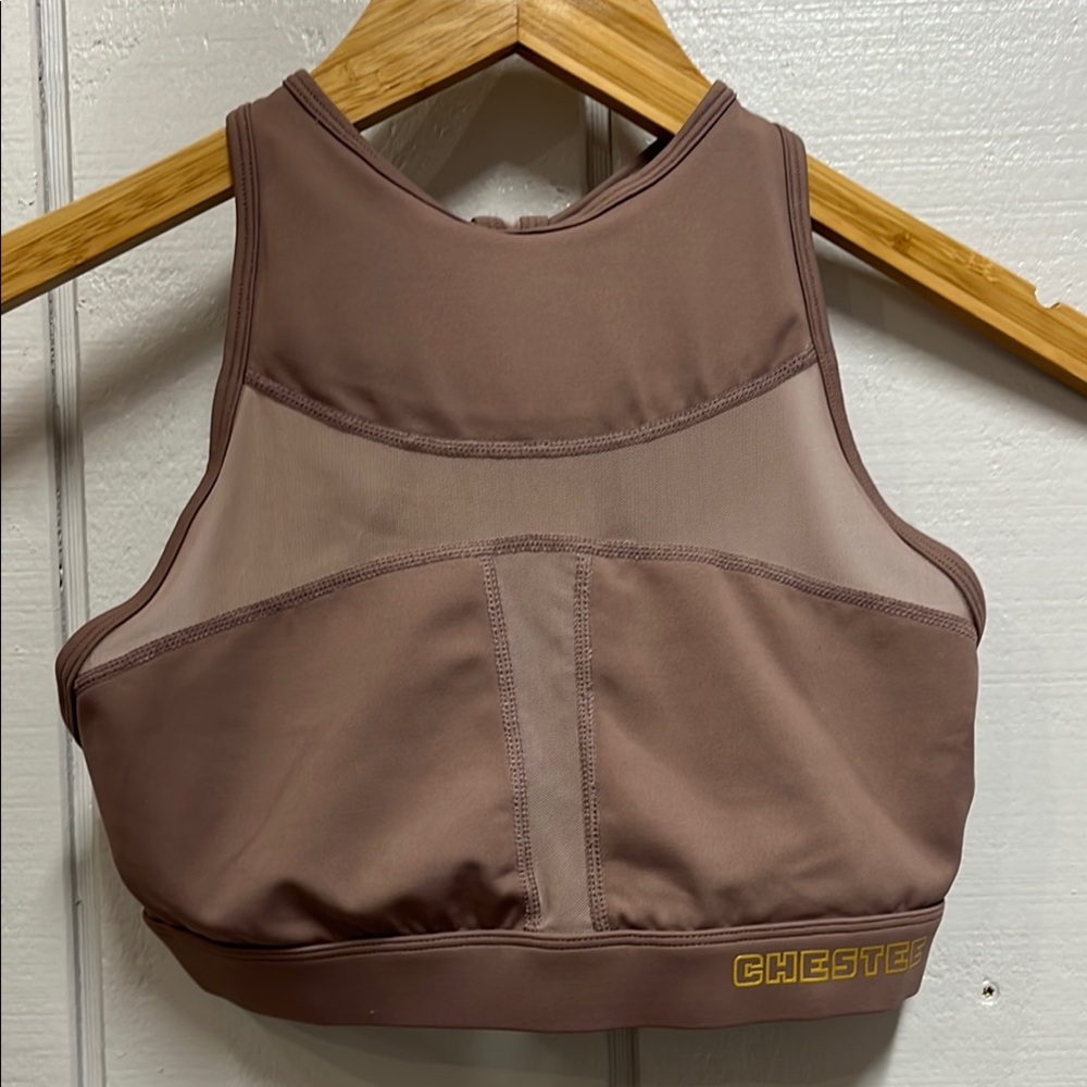 The Chestee Mauve Sports Bra